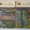 Dickens - Marile Sperante -2 volume BPT