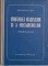 Foto  - 1