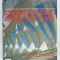 UNDERSTANDING ARCHITECTURE , STYLES AND STRUCTURES FROM THE PYRAMIDS TO POST MODERNISM by MARCO BUSASGLI , 2005