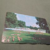 CARTE POSTALA -BUCURESTI-STRANDUL TINERETULUI NECIRCULATA