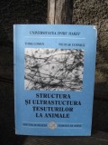 STRUCTURA SI ULTRASTRUCTURA TESUTURILOR LA ANIMALE - TOMA COMAN