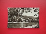 CARTE POSTALA - RPR - MANASTIREA COZIA