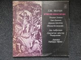 REQUIEM - Verdi (disc dublu vinil)
