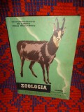 Zoologia / manual pentru clasa a IX -a - Constantin Bogoescu , Emil Sanielevici , Coralia Nitescu Vernescu // an 1963