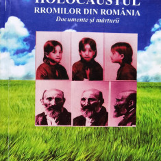 Holocaustul Rromilor Din Romania. Documente Si Marturii - Vasile Ionescu ,556940