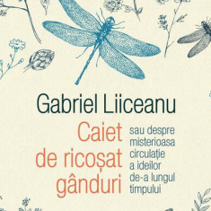 Caiet de ricoșat gânduri - Hardcover - Gabriel Liiceanu - Humanitas