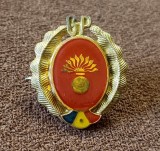 Insigna - cuc - Militara Garzile patriotice GP