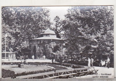bnk cp Buzias - Pavilionul apelor minerale - uzata foto