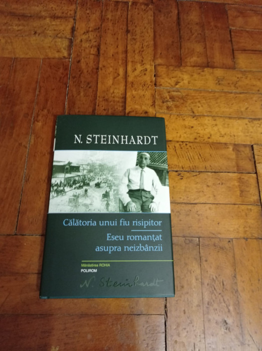 Nicolae Steinhardt - Calatoria unui fiu risipitor
