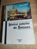 Istoricul podurilor din Timisoara - Jancso Arpad (Editura Mirton, 2001)
