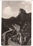CPIB 22621 - CARTE POSTAL - SERPENTINE IN CHEILE BICAZULUI, RPR, NECIRCULATA