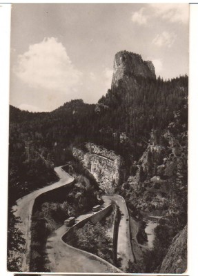 CPIB 22621 - CARTE POSTAL - SERPENTINE IN CHEILE BICAZULUI, RPR, NECIRCULATA foto