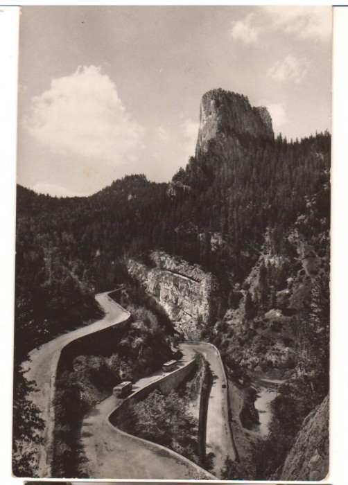 CPIB 22621 - CARTE POSTAL - SERPENTINE IN CHEILE BICAZULUI, RPR, NECIRCULATA