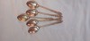 Set 5 lingurite de colectie,lingurita Apostolilor, Set tacamuri, Universal