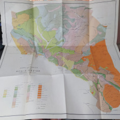 Harta geologică a regiunii Roșia-Meziad (Pădurea Craiului), I. Preda c. 1960 111