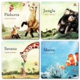 Pachet Unde traiesc animalele? (4 carti) - Albert Asensio, Alexandra Rotuna