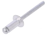 Diblu Aluminiu 4.8mm x 12.7mm 50 bucăți, Vorel