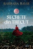 Secrete din trecut - Paperback brosat - Barbara Davis - Litera