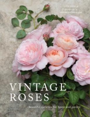 Vintage Roses: Beautiful Varieties for Home and Garden foto