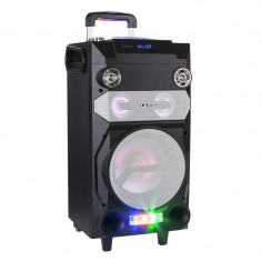 Sistem portabil FM/MP3/Bluetooth/Karaoke/RGB foto