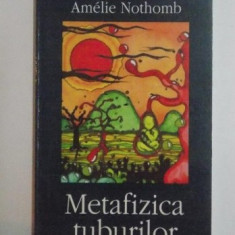 Metafizica tuburilor/ Amélie Nothomb