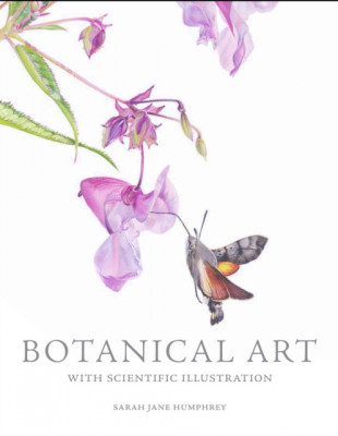 Botanical Art with Scientific Illustration foto