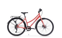 HOINAR 28&amp;amp;#039;&amp;amp;#039; ROZ GRI foto