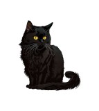 Cumpara ieftin Sticker decorativ Pisica, Negru, 61 cm, 6124ST, Oem