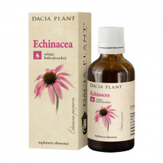 Tinctura de echinacea, 50ml, Dacia Plant