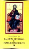 CALAUZA ORTODOXA IN FAMILIE SI SOCIETATE VOL.2-IOANICHIE BALAN-353472