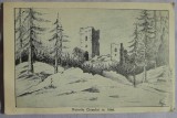 Carte postala, Ruinele Ciceului in 1866