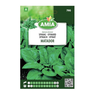 Seminte legume Amia A, spanac Matador foto