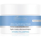 Bielenda Professional Hydro Plumping masca hidratanta pentru regenerare 100 g