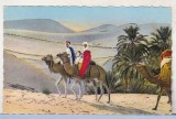Bnk cp Algeria - Beduini in desert - necirculata, Printata