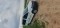 Caddy maxi - 4