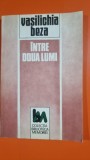Intre doua lumi - Vasilichia Beza