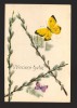CPIB 20036 CARTE POSTALA - FELICITARE - FLUTURI,, Circulata, Printata