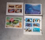 ZAIR&amp; BATUM&amp;TUVA VIATA MARINA 4 MINI COLI DANTELAT &amp; NEDANTELATE MNH