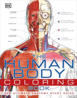 The Human Body Coloring Book foto