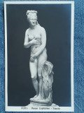 660 - Statuie clasica nud in Muzeul Capitolino Roma / carte postala interbelica, Necirculata, Printata