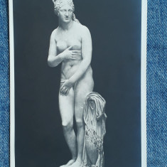 660 - Statuie clasica nud in Muzeul Capitolino Roma / carte postala interbelica