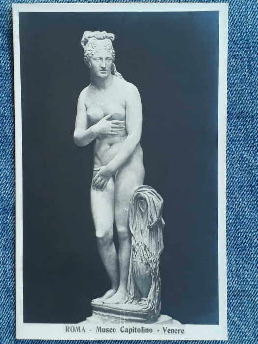 660 - Statuie clasica nud in Muzeul Capitolino Roma / carte postala interbelica