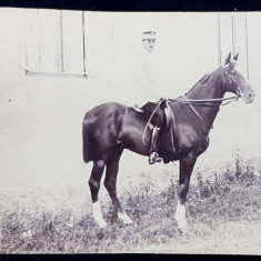 OFITER CALARE , FOTOGRAFIE TIP CABINET , STUDIOUL H. SCHILLER TARGOVISTE , PE CARTON , DATATA 1896