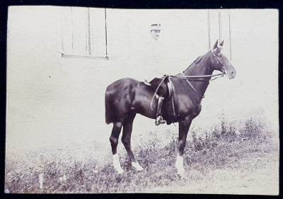 OFITER CALARE , FOTOGRAFIE TIP CABINET , STUDIOUL H. SCHILLER TARGOVISTE , PE CARTON , DATATA 1896 foto