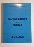 Sangeorgiu de Mures. Baile Sarate - Calin I. Dorgo, Ilarie Gh. Opris