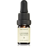 Smells Like Spells Essential Oil Lavender ulei esențial 5 ml