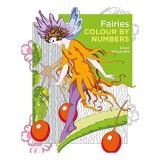Fairies Colour by Numbers