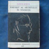 PORTRET AL ARTISTULUI IN TINERETE - JAMES JOYCE