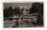 LACUL ROSU HOTEL SPORT FOTO AMBRUS NR 46, Circulata, Fotografie