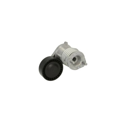 Intinzator curea VOLVO S40 II MS DAYCO APV3019 foto